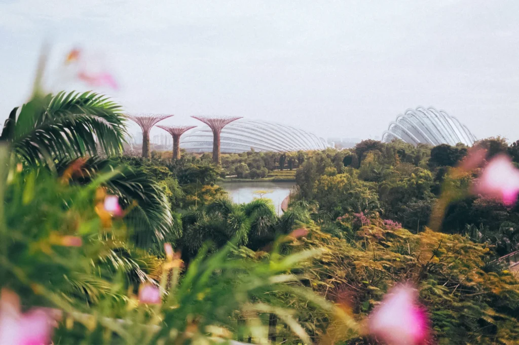 Telephoto wide-angle shot overlooking lush tropical gardens with dense green foliage in the foreground, Supertree structures and glass conservatories visible in the background.