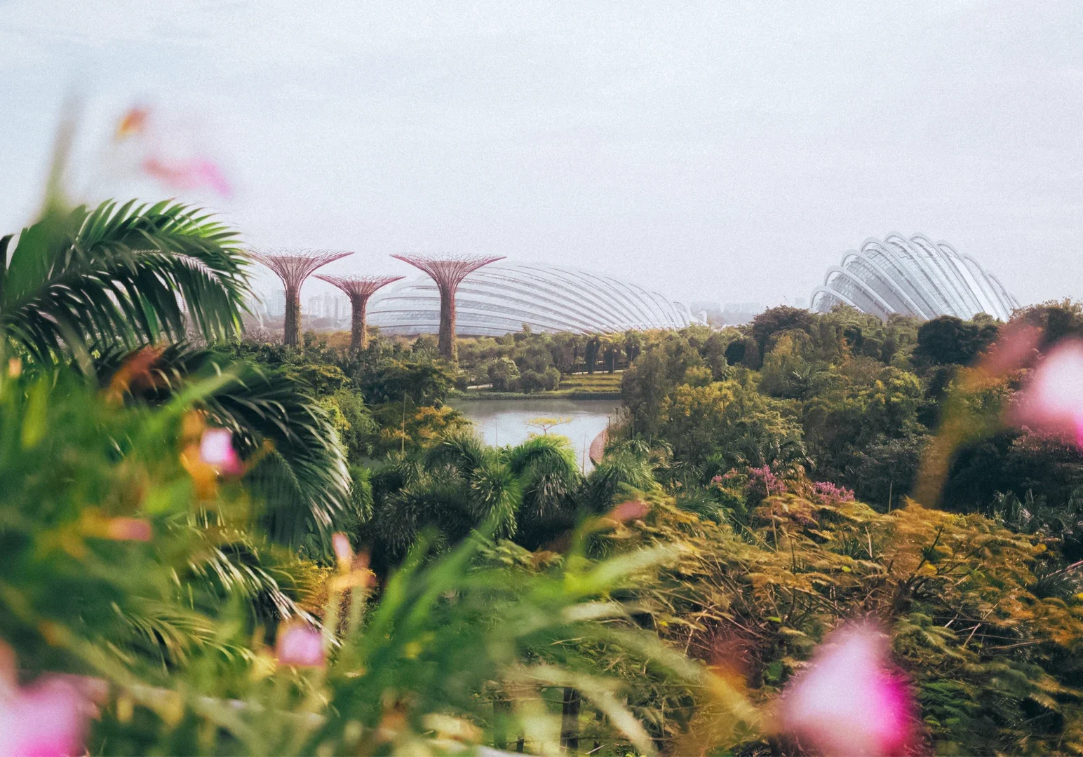 Telephoto wide-angle shot overlooking lush tropical gardens with dense green foliage in the foreground, Supertree structures and glass conservatories visible in the background.