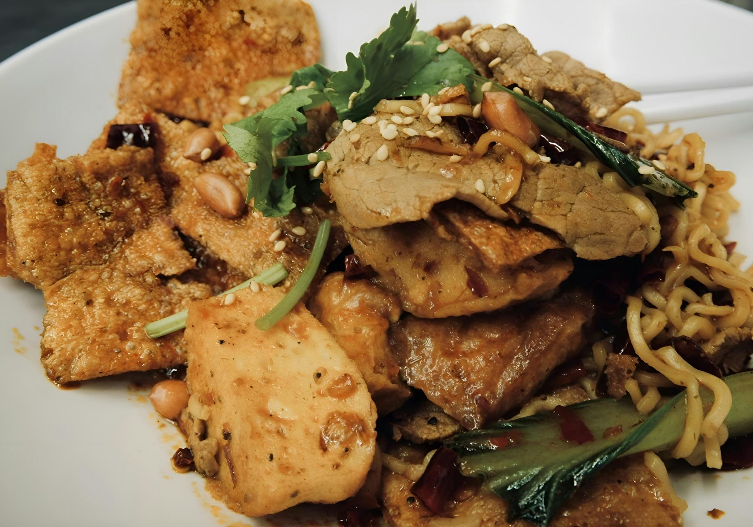 This image features a hearty Asian-style noodle dish served in a white bowl, packed with ingredients like sliced beef, tofu, and bok choy. The dish is garnished with sesame seeds, peanuts, and fresh cilantro, suggesting a flavorful and textured meal.