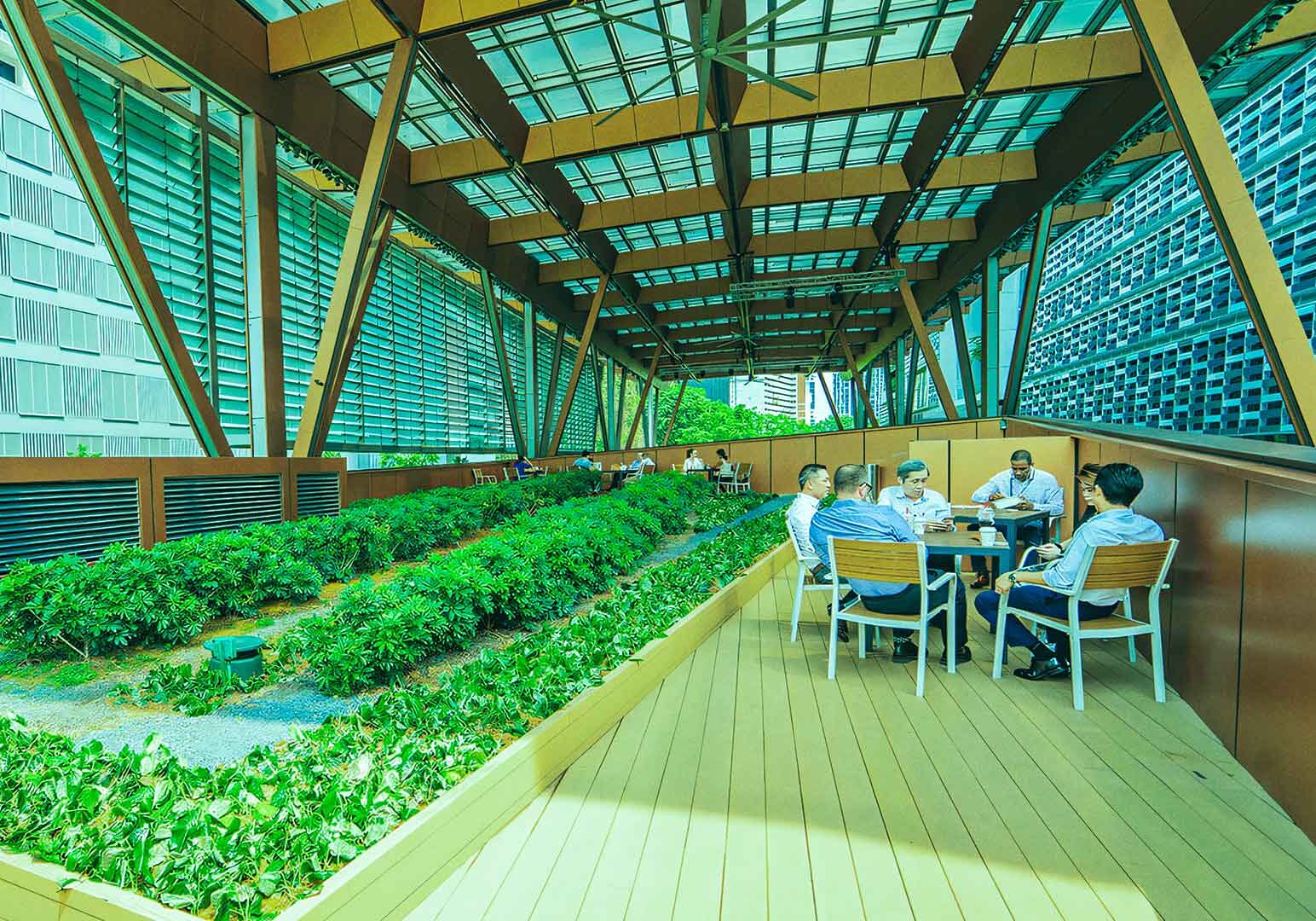 2-Tanjong-Pagar Guoco Tower rooftop garden with covered wooden deck, rows of planters, people seated at tables under a glass canopy, and surrounding high-rise facades.