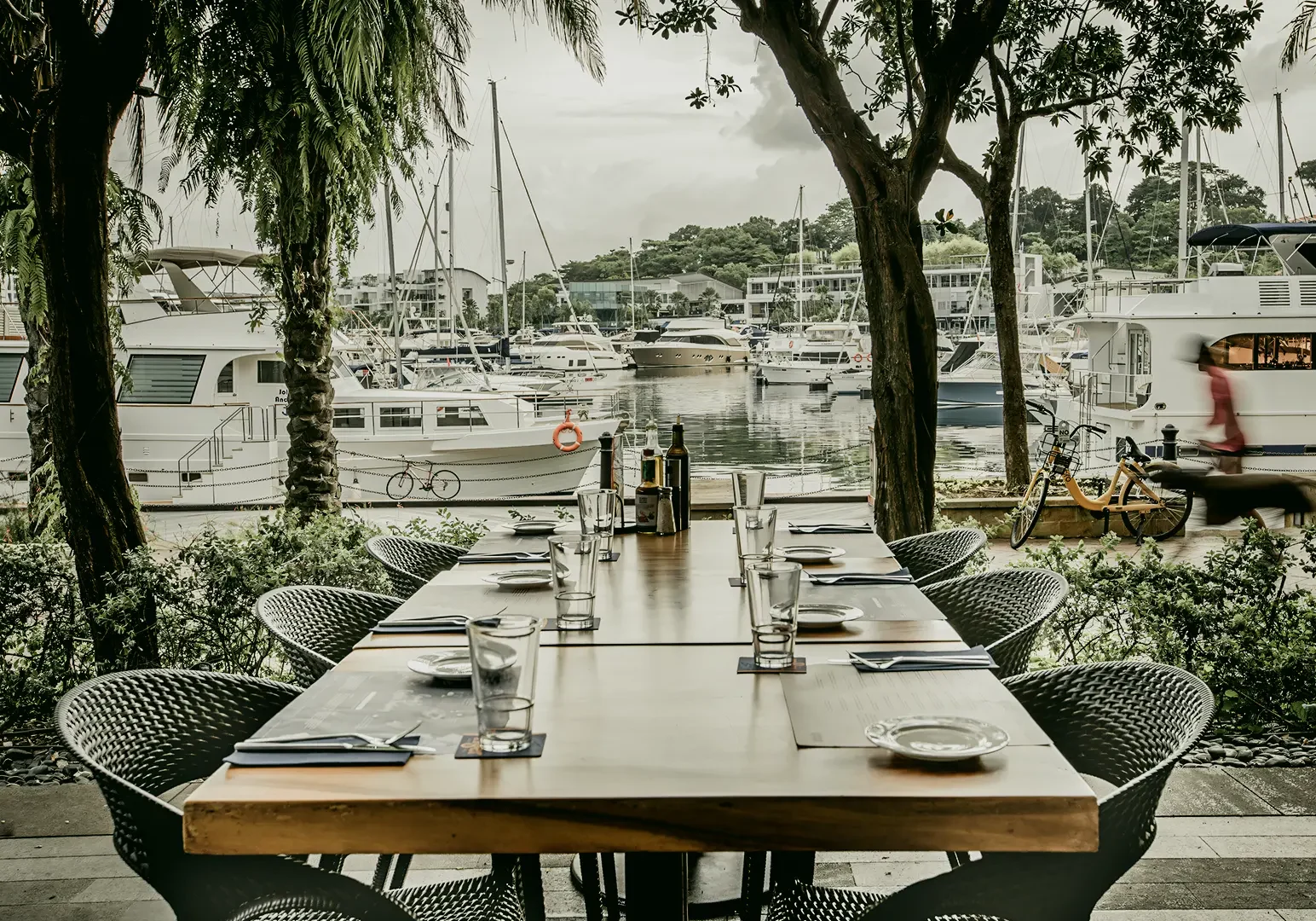 Centered eye‑level wide shot of an outdoor waterfront dining table set beside a marina, with yachts docked in the background and shaded trees overhead.
