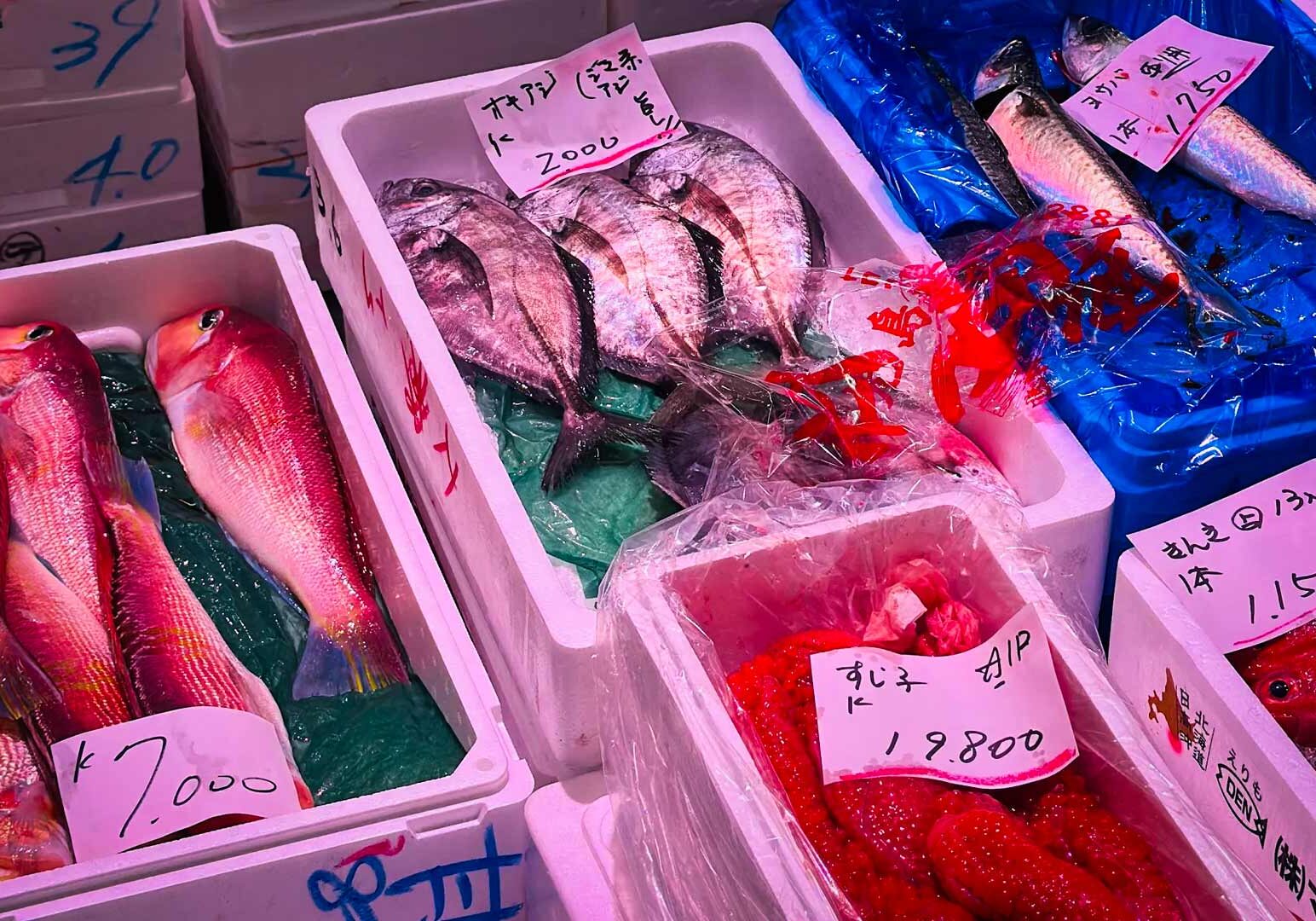 Japanese seafood market stall with fresh red fish, silver fish, and roe in foam boxes, handwritten yen price tags visible.