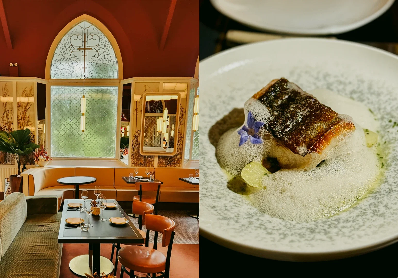 Left: Wide‑angle, eye‑level interior shot of an elegant restaurant dining room featuring arched windows, warm terracotta and orange seating, neatly set tables, framed mirrors, indoor plants, and soft ambient lighting. Right: Close‑up, three‑quarter angle of a refined gourmet fish dish with crisp seared skin, light foamed sauce, and subtle garnish presented on a white plate.