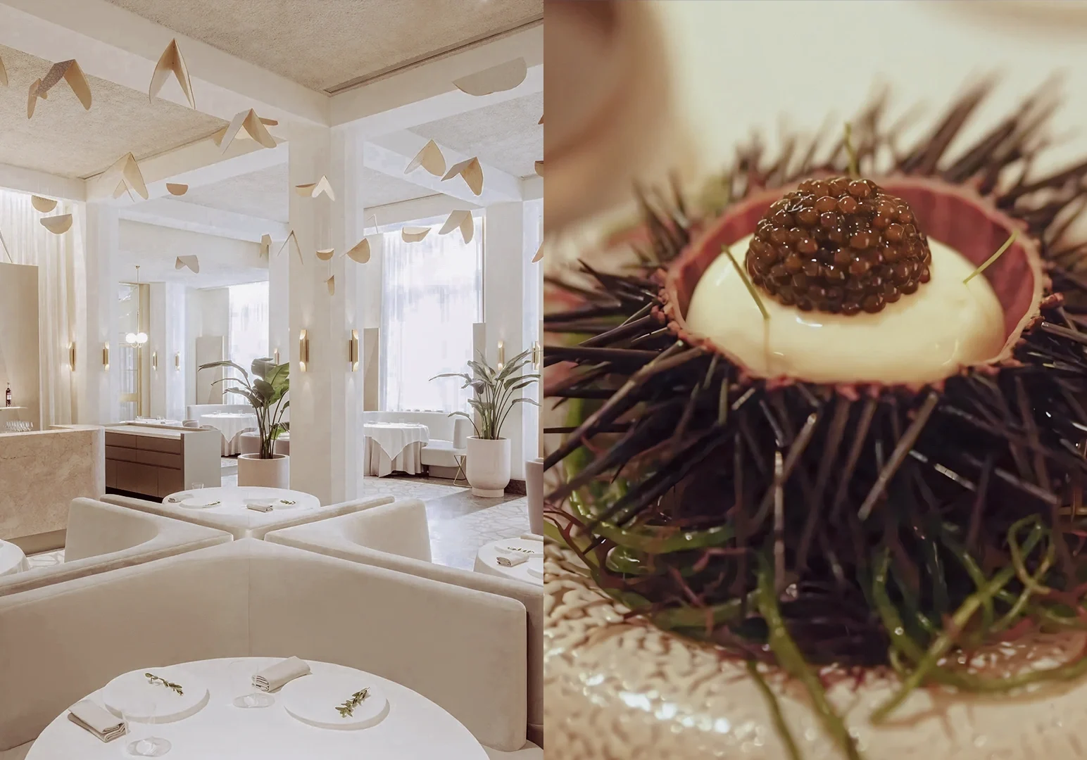 Left: Wide‑angle interior shot of a minimalist fine‑dining restaurant in Singapore with soft natural light and elegant seating; Right: Macro close‑up of a gourmet sea urchin dish topped with caviar.