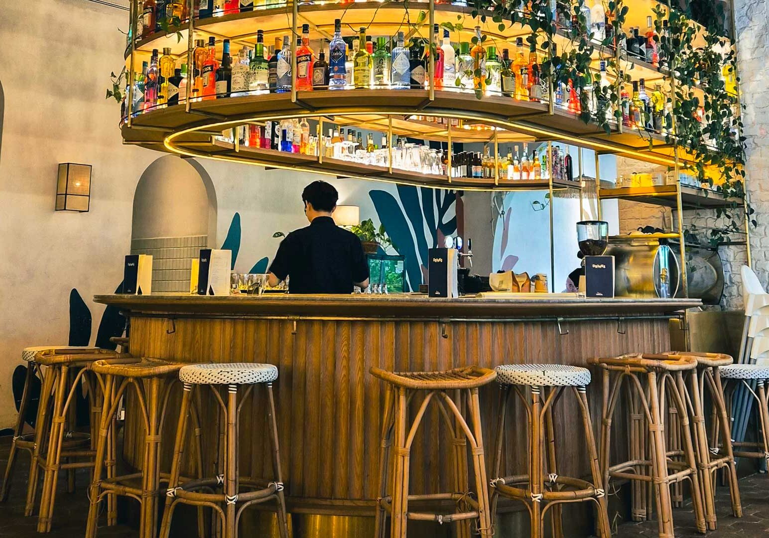 Bar counter with wooden stools, a curved wooden bar, overhead shelves filled with bottles, and greenery accents inside a contemporary café.